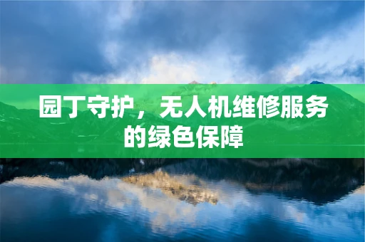 园丁守护，无人机维修服务的绿色保障