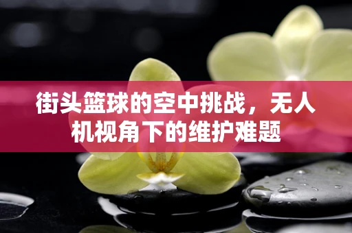 街头篮球的空中挑战，无人机视角下的维护难题