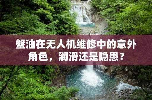 蟹油在无人机维修中的意外角色，润滑还是隐患？