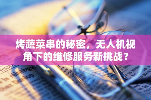 烤蔬菜串的秘密，无人机视角下的维修服务新挑战？