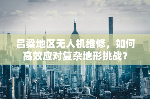吕梁地区无人机维修，如何高效应对复杂地形挑战？