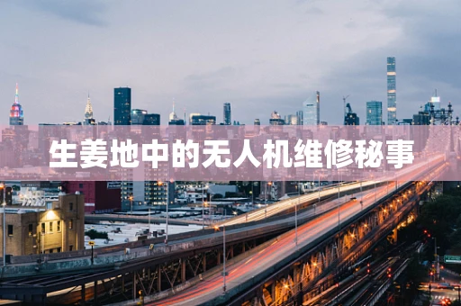 生姜地中的无人机维修秘事