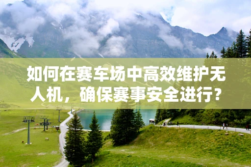 如何在赛车场中高效维护无人机，确保赛事安全进行？