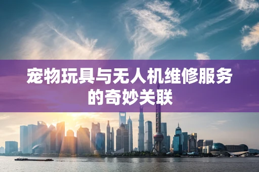 宠物玩具与无人机维修服务的奇妙关联