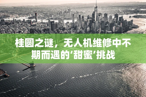 桂圆之谜，无人机维修中不期而遇的‘甜蜜’挑战