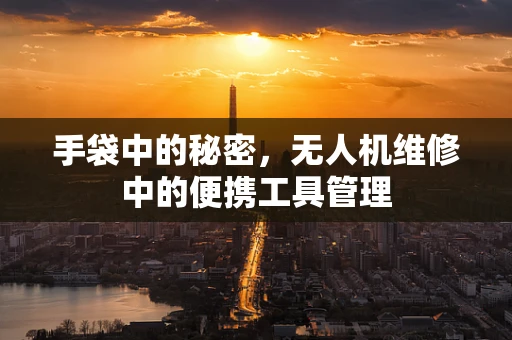 手袋中的秘密，无人机维修中的便携工具管理