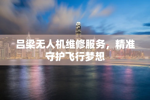 吕梁无人机维修服务，精准守护飞行梦想