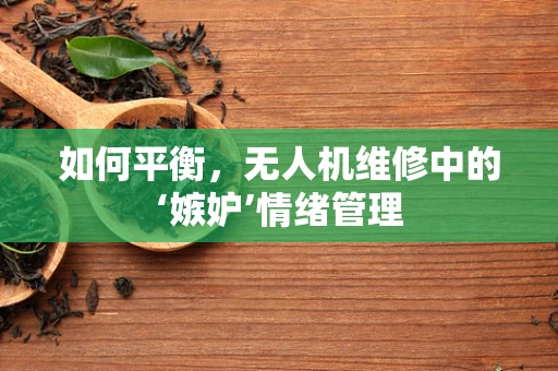 如何平衡，无人机维修中的‘嫉妒’情绪管理