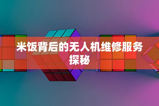 米饭背后的无人机维修服务探秘