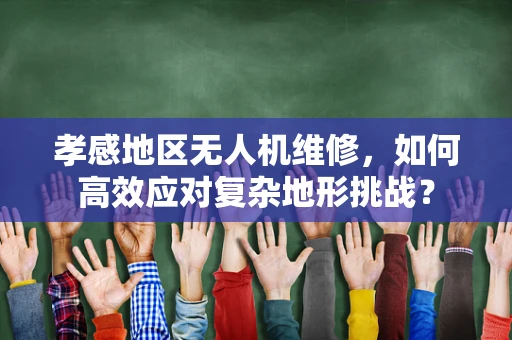 孝感地区无人机维修，如何高效应对复杂地形挑战？