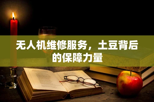 无人机维修服务，土豆背后的保障力量