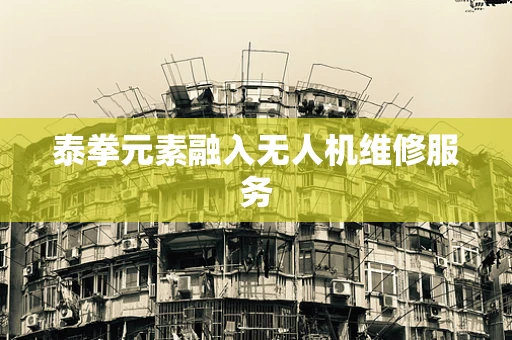 泰拳元素融入无人机维修服务