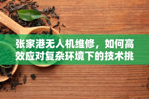 张家港无人机维修，如何高效应对复杂环境下的技术挑战？