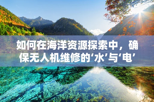 如何在海洋资源探索中，确保无人机维修的‘水’与‘电’平衡？