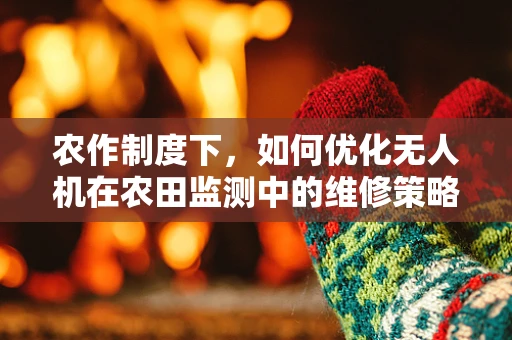 农作制度下，如何优化无人机在农田监测中的维修策略？