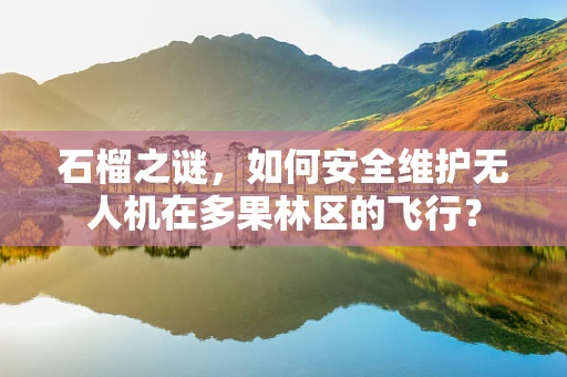 石榴之谜，如何安全维护无人机在多果林区的飞行？