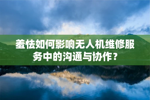 羞怯如何影响无人机维修服务中的沟通与协作？