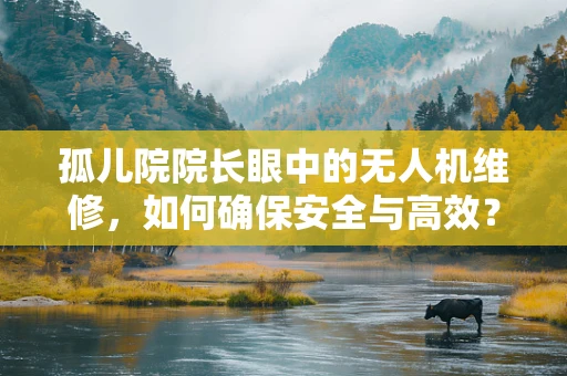 孤儿院院长眼中的无人机维修，如何确保安全与高效？
