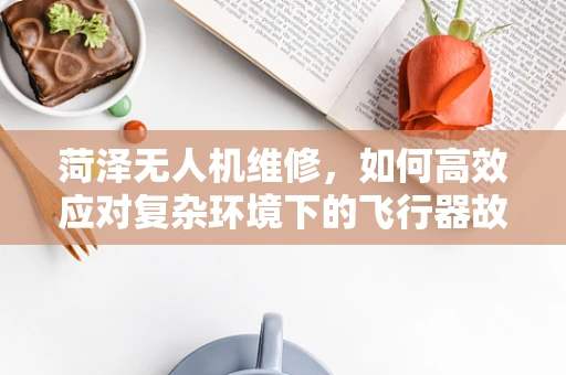菏泽无人机维修，如何高效应对复杂环境下的飞行器故障？