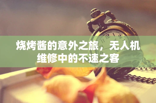 烧烤酱的意外之旅，无人机维修中的不速之客