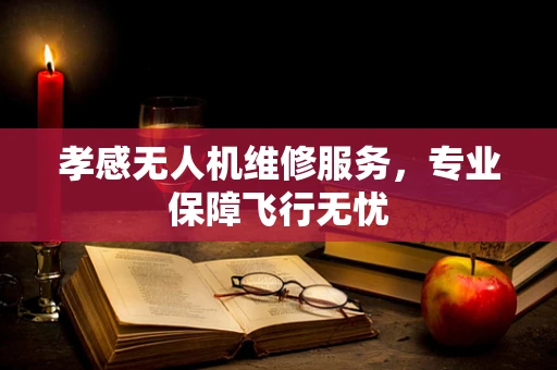孝感无人机维修服务，专业保障飞行无忧
