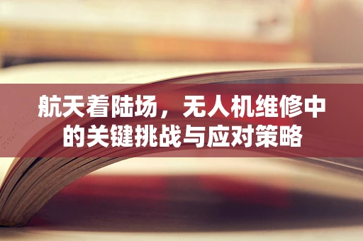 航天着陆场，无人机维修中的关键挑战与应对策略
