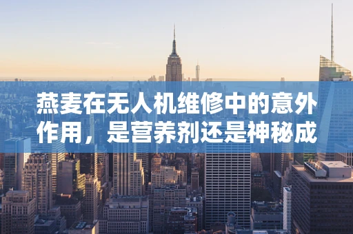 燕麦在无人机维修中的意外作用，是营养剂还是神秘成分？