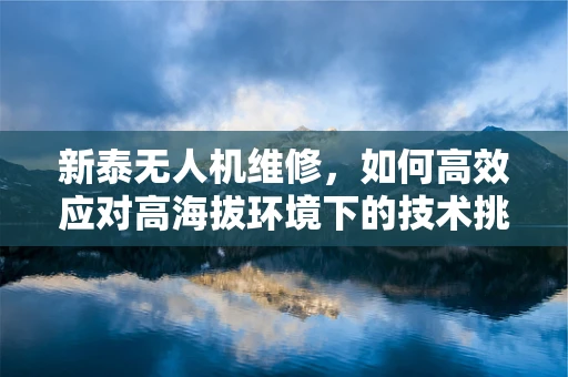 新泰无人机维修，如何高效应对高海拔环境下的技术挑战？