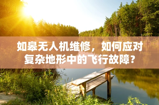 如皋无人机维修，如何应对复杂地形中的飞行故障？