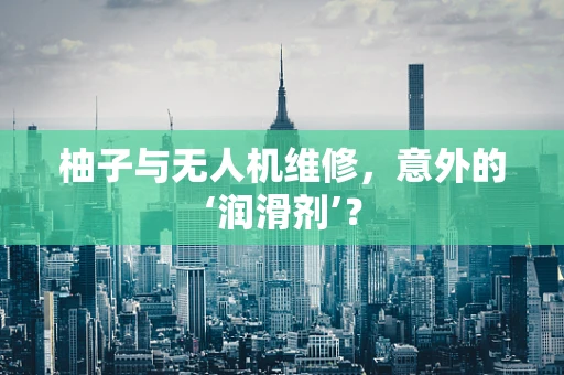 柚子与无人机维修，意外的‘润滑剂’？