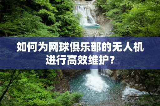 如何为网球俱乐部的无人机进行高效维护？