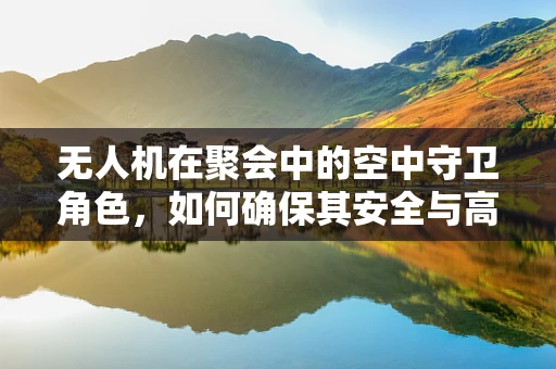 无人机在聚会中的空中守卫角色，如何确保其安全与高效？