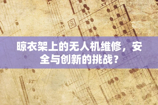 晾衣架上的无人机维修，安全与创新的挑战？