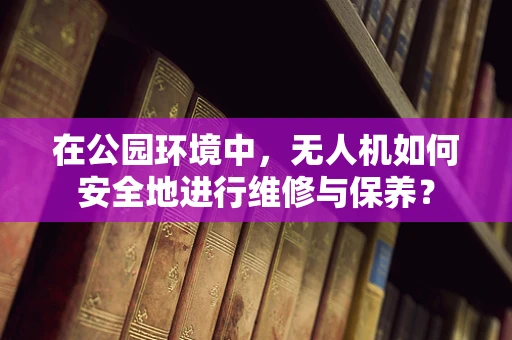 在公园环境中，无人机如何安全地进行维修与保养？