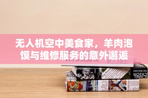 无人机空中美食家，羊肉泡馍与维修服务的意外邂逅