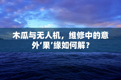 木瓜与无人机，维修中的意外‘果’缘如何解？