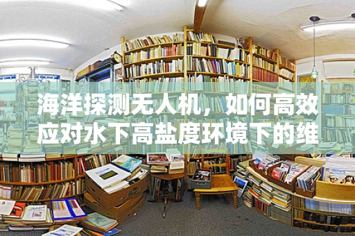 海洋探测无人机，如何高效应对水下高盐度环境下的维护挑战？