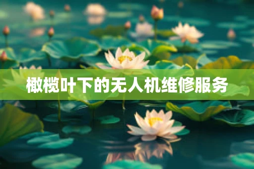 橄榄叶下的无人机维修服务