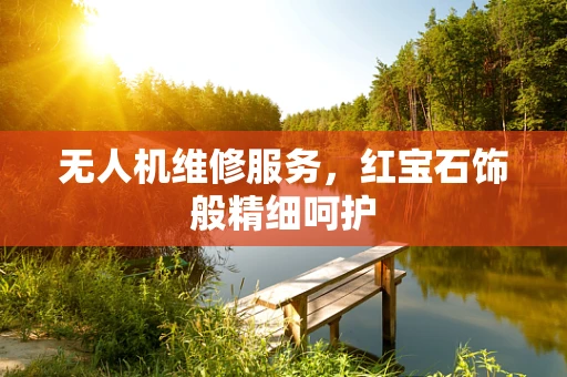 无人机维修服务，红宝石饰般精细呵护
