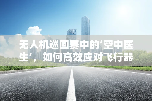 无人机巡回赛中的‘空中医生’，如何高效应对飞行器故障？