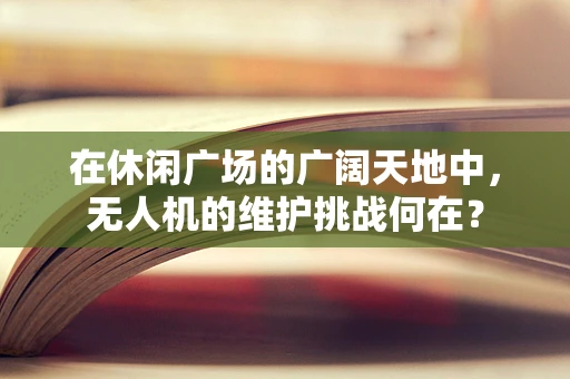 在休闲广场的广阔天地中，无人机的维护挑战何在？