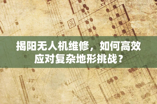 揭阳无人机维修，如何高效应对复杂地形挑战？