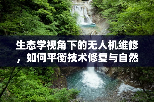 生态学视角下的无人机维修，如何平衡技术修复与自然环境和谐？