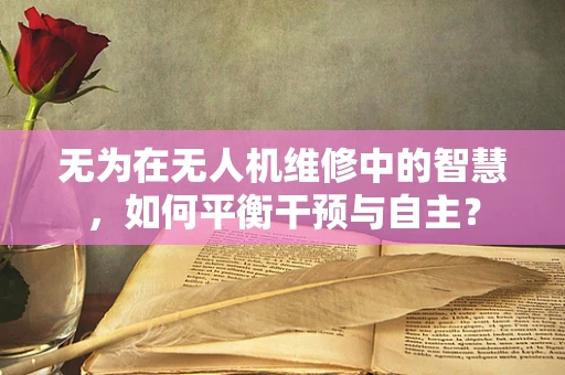 无为在无人机维修中的智慧，如何平衡干预与自主？