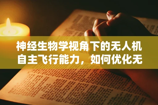 神经生物学视角下的无人机自主飞行能力，如何优化无人机决策系统？