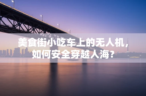 美食街小吃车上的无人机，如何安全穿越人海？
