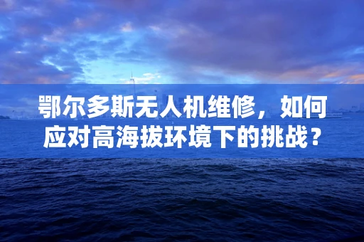鄂尔多斯无人机维修，如何应对高海拔环境下的挑战？