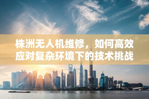 株洲无人机维修，如何高效应对复杂环境下的技术挑战？