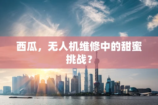 西瓜，无人机维修中的甜蜜挑战？
