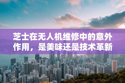 芝士在无人机维修中的意外作用，是美味还是技术革新？